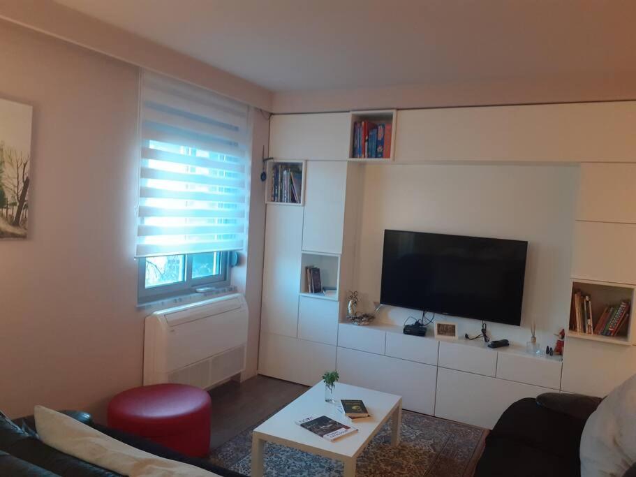 Lake View Apartment Tirana Bagian luar foto